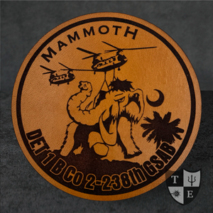 B Co 2-238th GSAB - "Mammoth"