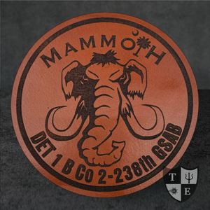 B Co 2-238th GSAB - "Mammoth"