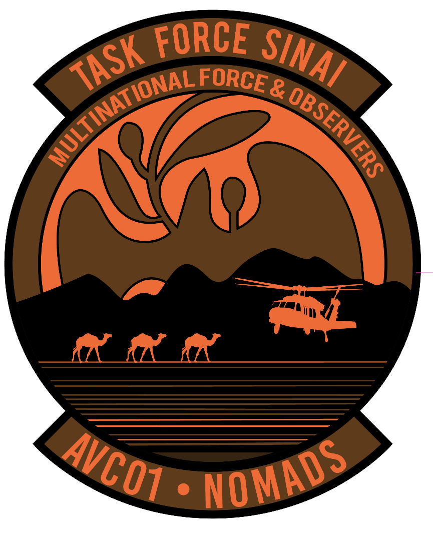 U.S. Army's Aviation Company (AVCO), Task Force Sinai (TFS)