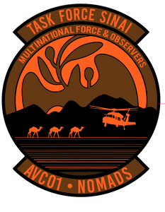 U.S. Army's Aviation Company (AVCO), Task Force Sinai (TFS)