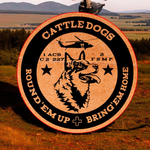 2nd FSMP "Cattle Dogs" C Co 2-227