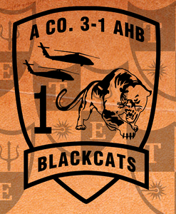A Co 3-1 AHB "Blackcats"