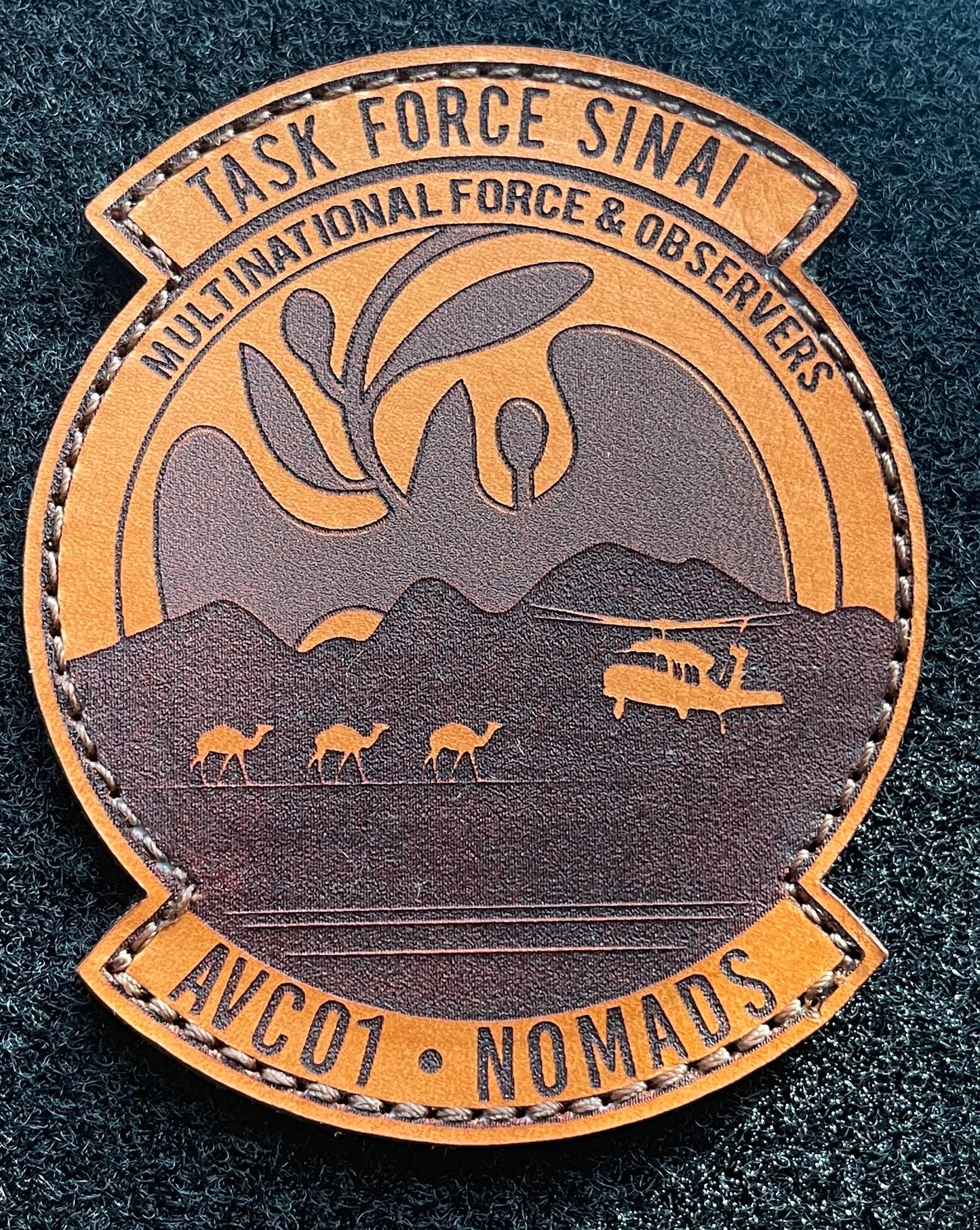 U.S. Army's Aviation Company (AVCO), Task Force Sinai (TFS)